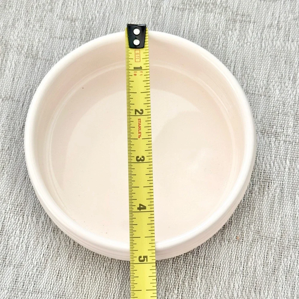 Rae Dunn FOOD Ceramic Small Pet Bowl BRAND NEW!!